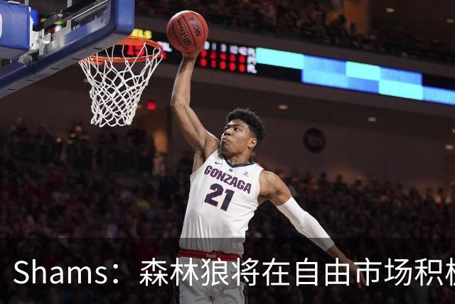 Shams：森林狼将在自由市场积极补强4号位 但他们只能提供底薪